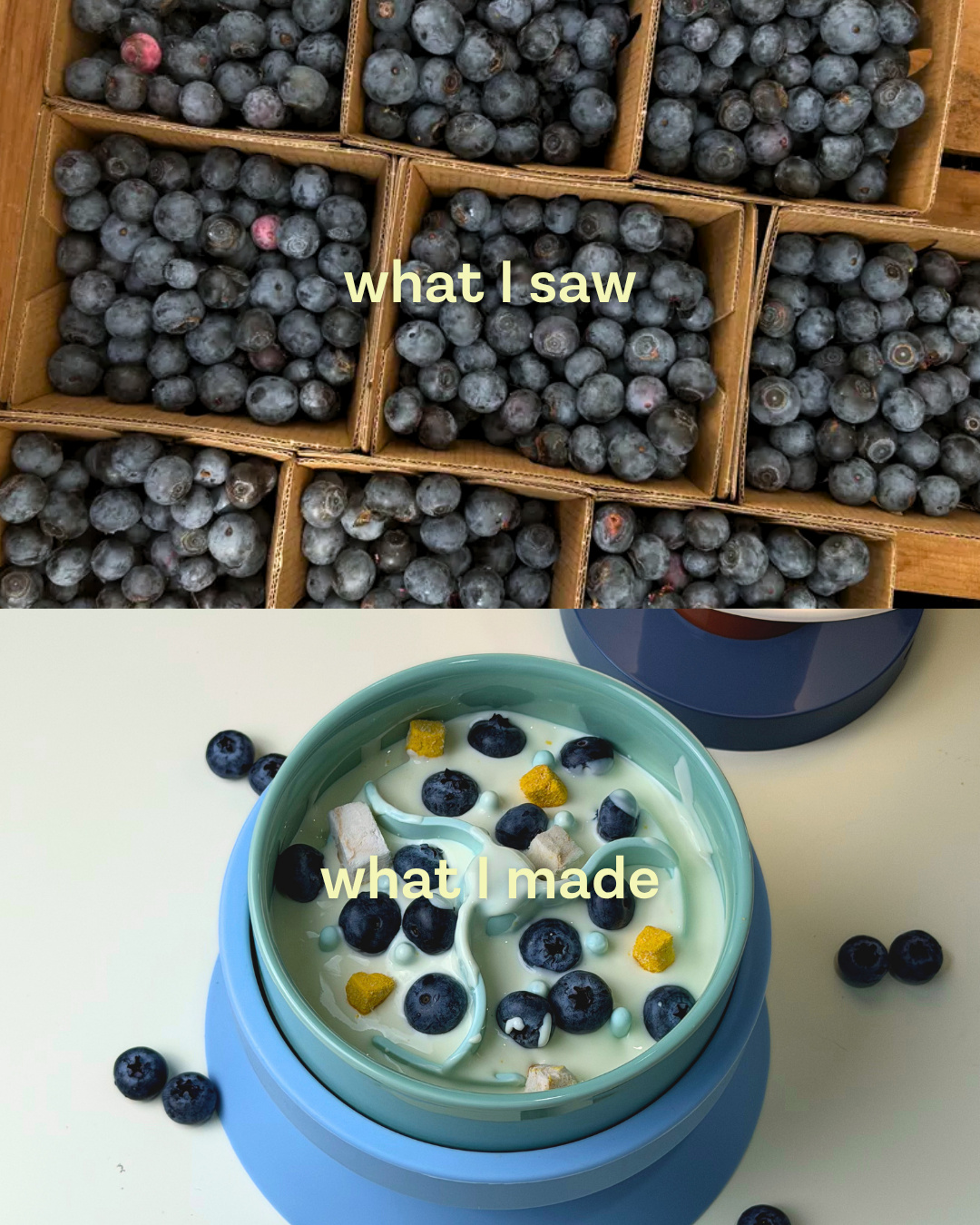 Blueberry slide: crates of blueberries above a blue pet bowl of yogurt topped with blueberries, captioned 'what I saw' and 'what I made' (slide 2 of 2)